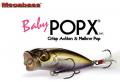 Megabass Baby POP X