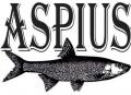 Тейл-спиннеры Aspius
