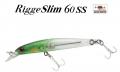 Zipbaits Rigge Slim 60SS Zipbaits Rigge Slim 60SS
