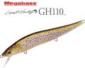 Megabass GH110 Vision Oneten