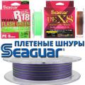 Seaguar 