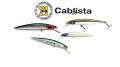 Pontoon21 Cablista 125SP-SMR Pontoon21 Cablista 125SP-SMR