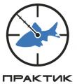 Практик Практик
