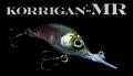 Deps Korrigan MR