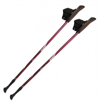 Палки для скандинавской ходьбы Tramp Fitness
