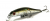 Воблер Zipbaits Rigge 70SP 510R Воблер Zipbaits Rigge 70SP 510R