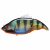 Свимбейт Megabass Vatalion F GP GHOST GILL Свимбейт Megabass Vatalion F GP GHOST GILL