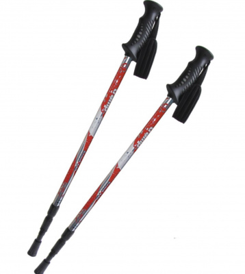 Трекинговые палки Tramp Scout пара