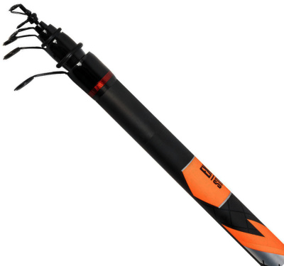 Болонская удочка с кольцами DAYO Thunder 10-30gr 6m