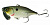 Воблер Jackall TN70 Trigon SK Pearl Shad