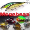 Megabass Megabass