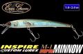 M-1 Inspire Minnow