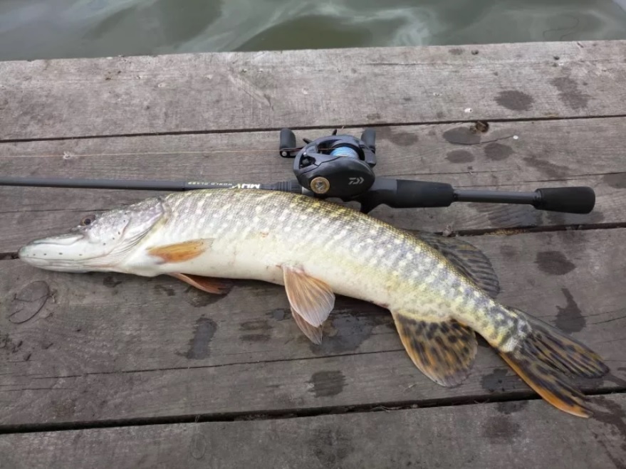 Как выбрать кастинговое удилище