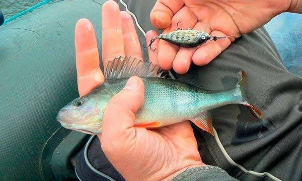 Плавающий, суспендер или тонущий воблер: когда какой использовать?