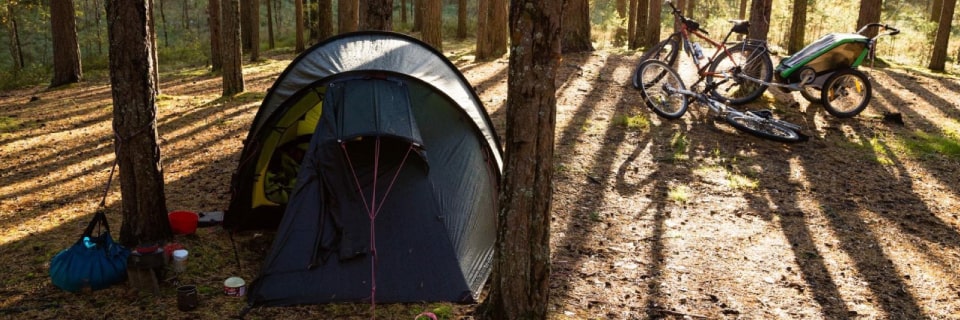 Палатка в лесу