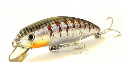 Воблер Fishycat Tigercub 170F X05