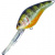 Воблер Panacea Fat Marauder 30+ T004 Воблер Panacea Fat Marauder 30+ T004