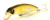 Воблер Fishycat Tigercub 170F R03 Воблер Fishycat Tigercub 170F R03