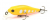 Воблер Pontoon21 Cheerful 40F-SR R43 Воблер Pontoon21 Cheerful 40F-SR R43