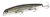Воблер Fishycat Junglecat 140SP R19 Воблер Fishycat Junglecat 140SP R19
