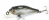 Воблер Pontoon21 Cheerful 40F-SR 222 Воблер Pontoon21 Cheerful 40F-SR 222