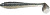 Keitech Swing Impact FAT 2.8 #418T Bluegill Flash  Keitech Swing Impact FAT 2.8 #418T Bluegill Flash