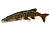 Силиконовая приманка Savage Gear 4D Line-Thru Pike 25cm 105gr Slow Sink 01-Striped Pike