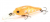 Воблер Pontoon21 Cheerful 40SP-MR R46 Воблер Pontoon21 Cheerful 40SP-MR R46