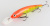 Воблер Bandit SHALLOW WALLEYE 152 Воблер Bandit SHALLOW WALLEYE 152