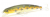 Воблер Fishycat Tigercub 170F X08 Воблер Fishycat Tigercub 170F X08
