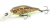Воблер Pontoon21 Cheerful 40SP-MR 729 Воблер Pontoon21 Cheerful 40SP-MR 729
