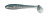 Keitech Swing Impact FAT 3.3 #431 Silver Shiner Keitech Swing Impact FAT 3.3 #431 Silver Shiner