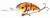 Воблер Bomber Fat Free Shad Jr. BD6F TGP