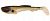 Силиконовая приманка Abu Garcia Paddle Tail Golden Roach 21cm 93gr 2шт