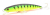 Воблер Fishycat Tigercub 170F X03 Воблер Fishycat Tigercub 170F X03