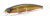 Воблер Fishycat Tigercub 170F R04 Воблер Fishycat Tigercub 170F R04