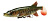 Силиконовая приманка Savage Gear 4D Pike Shad 20cm 65gr Slow Sinking 01-Striped Pike