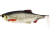 Приманка Westin Ricky the Roach Shadtail 180 Real Roach 1 шт.