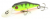 Воблер Pontoon21 Cheerful 40SP-MR 042 Воблер Pontoon21 Cheerful 40SP-MR 042