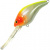 Воблер Panacea Fat Marauder 30+ T008 Воблер Panacea Fat Marauder 30+ T008
