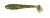 Keitech Swing Impact FAT 2.8 #401 Green Pumkin / Chartreuse Keitech Swing Impact FAT 2.8 #401 Green Pumkin / Chartreuse